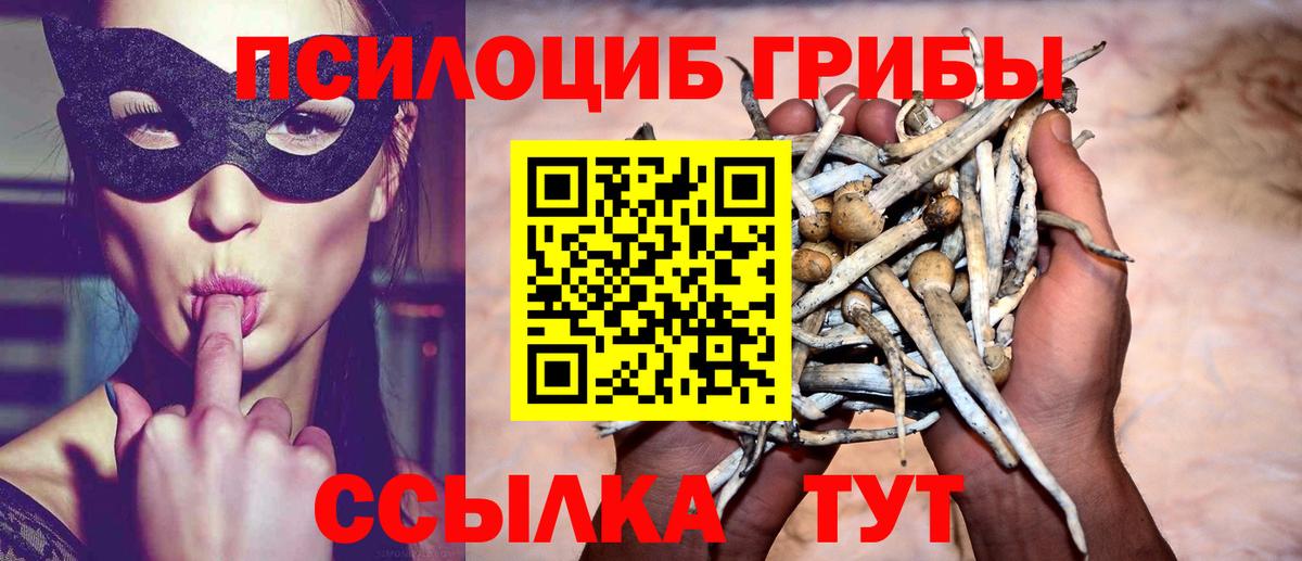 Ярцево  Галлюциногенные грибы Psilocybe  где найти наркотики  Галлюциногенные грибы Psilocybine cubensis  Вход с VPN 